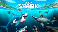 Crazy Shark