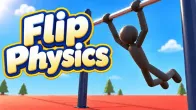 Flip Physics