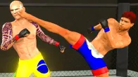 MMA fighting 3D