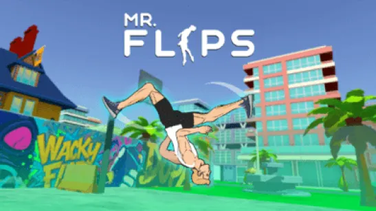 Mr Flip image