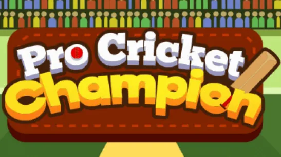 Play Pro Cricket Champion game