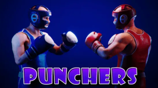 Punchers image