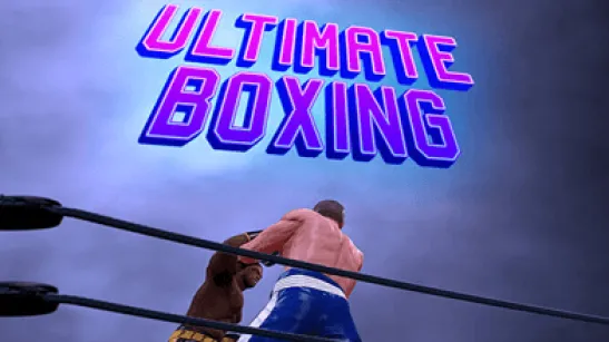 Ultimate Boxing image